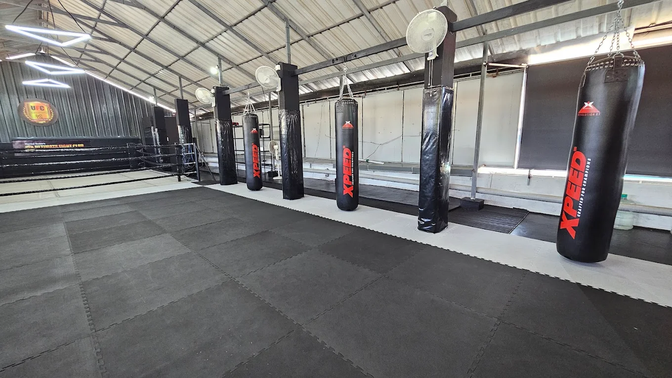Heavy Bag Zone