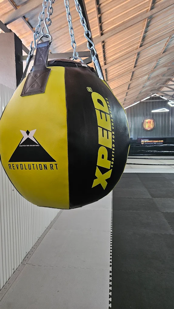 Speed Bag